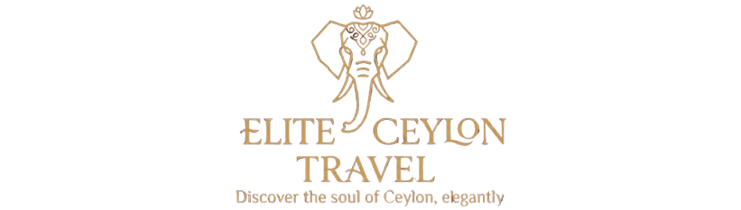 logo new
